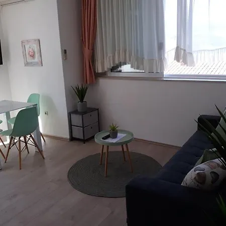 Apartman Viki *