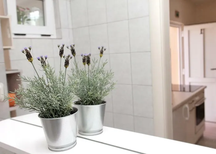 Viki Apartman Trogir