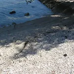 Viki Trogir