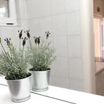 Viki Apartment Trogir