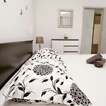 Apartment Viki *
