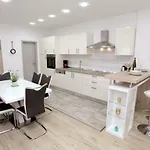 Apartment Viki *