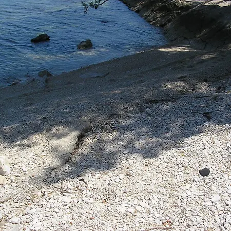 Viki Τρογκίρ