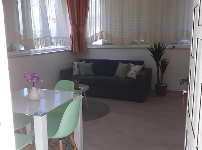Viki Appartement *