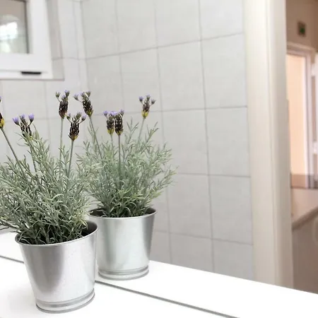 Viki Appartement Trogir