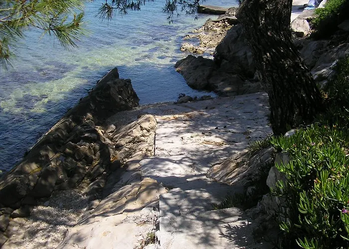 Διαμέρισμα Viki