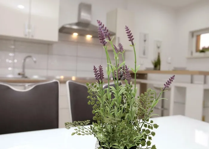 Viki * Τρογκίρ